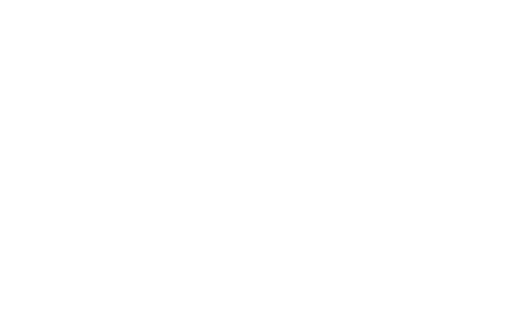Max1 Performance & Fitness logo